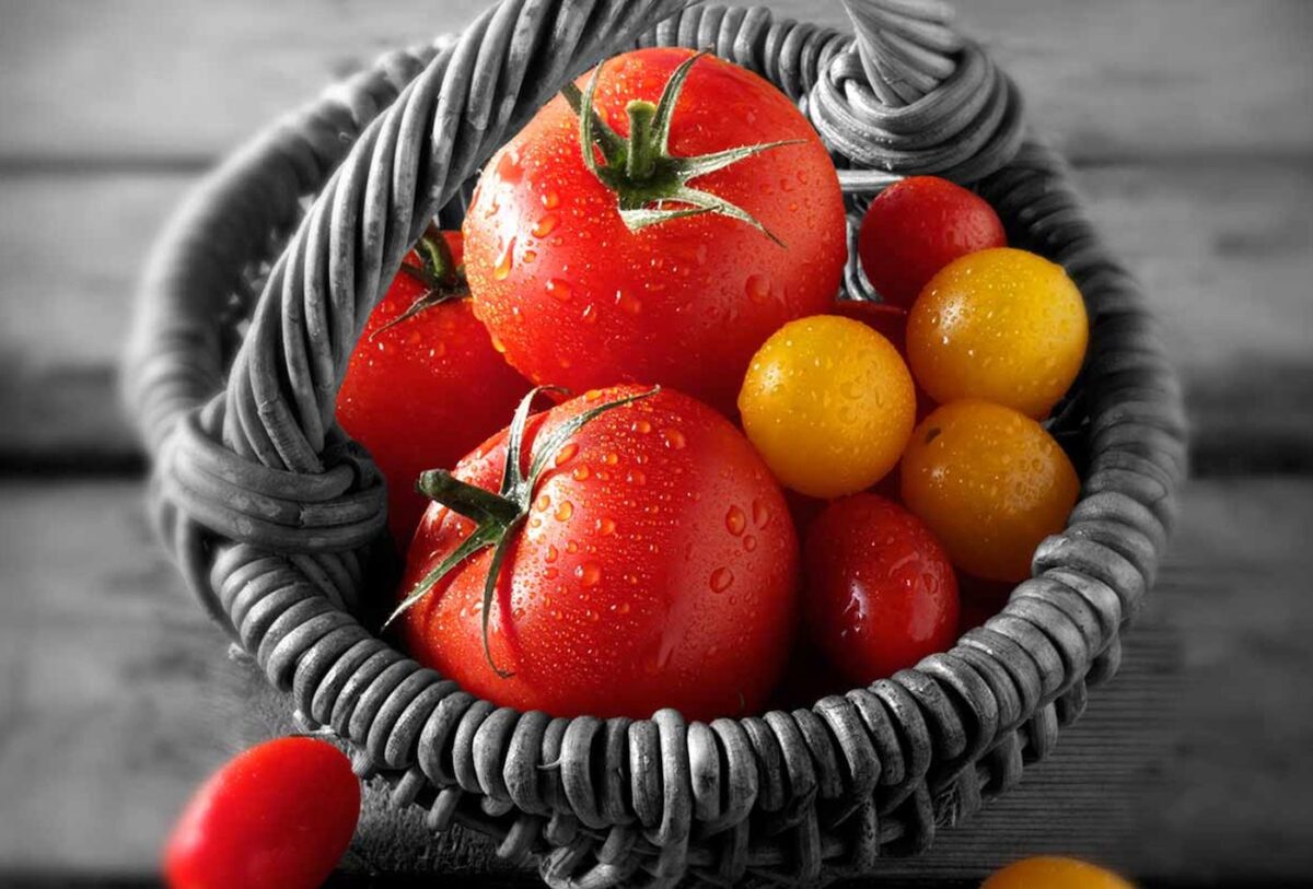Fresh red and yellow tomatoes in a woven basket.